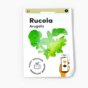 Rucola