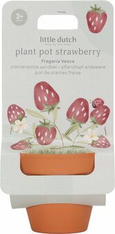 Plantenpotje Aardbei