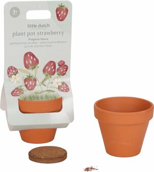 Plantenpotje Aardbei