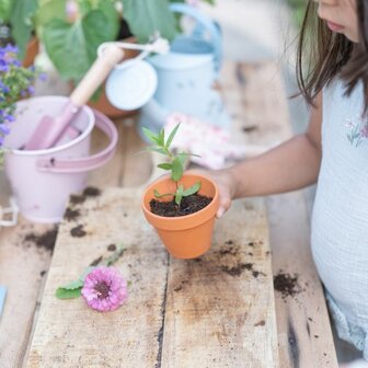 Plantenpotje Aardbei