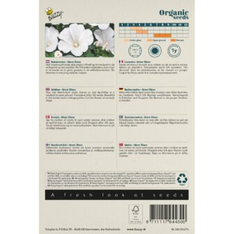 Buzzy Organic Lavatera, Bekermalva Mont Blanc BIO