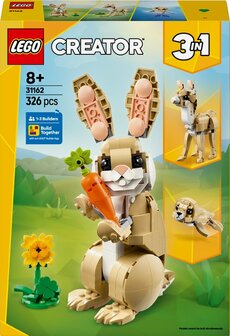 LEGO CREATOR LIEF KONIJN