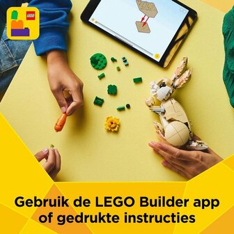 LEGO CREATOR LIEF KONIJN