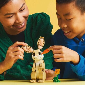 LEGO CREATOR LIEF KONIJN