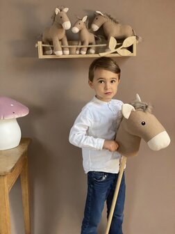STOKPAARD HENRY