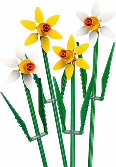 Lego Iconic Narcissen - Botanical Collection