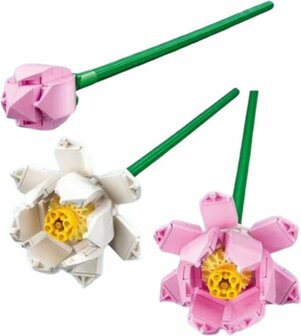 Lego Iconic Lotusbloemen - Botanical Collection