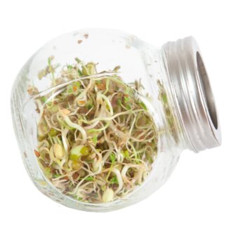Buzzy&reg; Organic Sprouting pot Salademix BIO