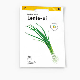 Lente ui