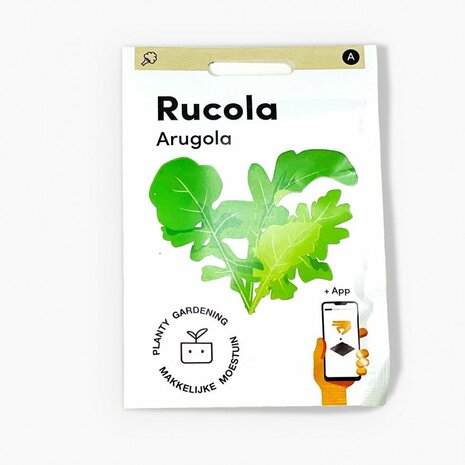 Rucola