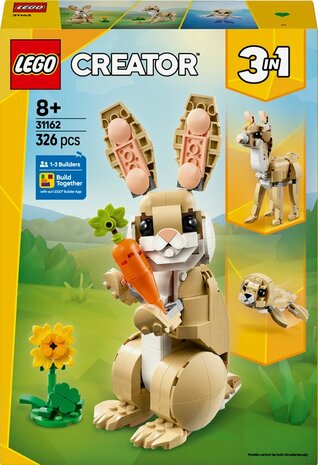 LEGO CREATOR LIEF KONIJN