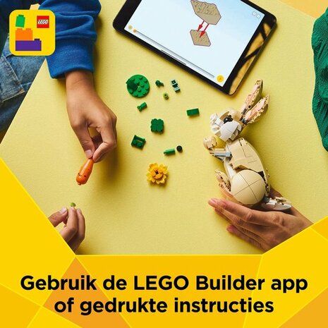 LEGO CREATOR LIEF KONIJN