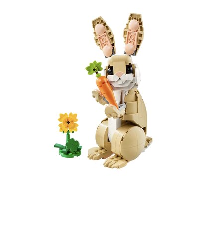 LEGO CREATOR LIEF KONIJN