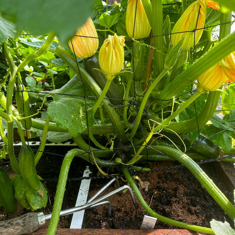 Makkelijke Moestuin Voeding 100g