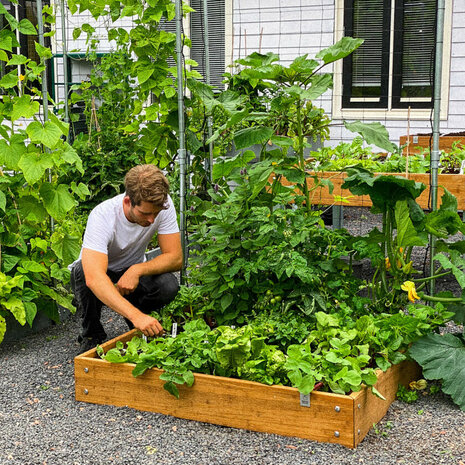 Makkelijke Moestuin Voeding 100g