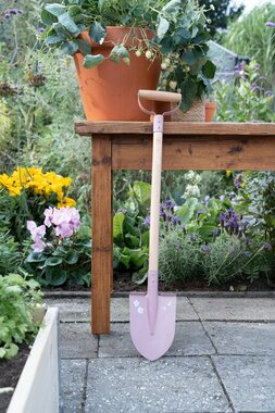Schep Roze Little Dutch