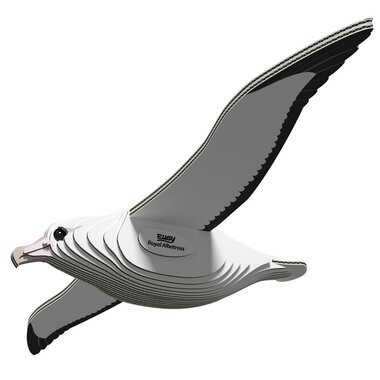 Eugy Vogel Koningsalbatros