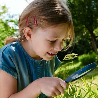 Terra Kids Kinderloep