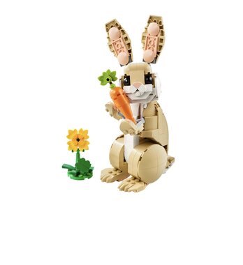 LEGO CREATOR LIEF KONIJN