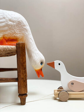 LAMP EEND DIE NAAR BENEDEN KIJKT