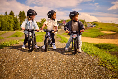 BERG Biky Cross White Handbrake