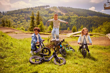 BERG Biky Cross White Handbrake