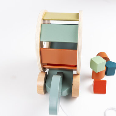 Egmont Trekfiguur Schildpad