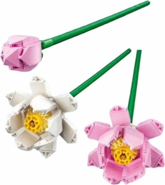 Lego Iconic Lotusbloemen - Botanical Collection