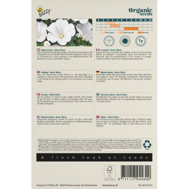 Buzzy Organic Lavatera, Bekermalva Mont Blanc BIO