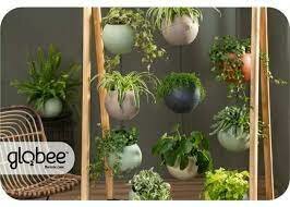 Globee in box Antracite