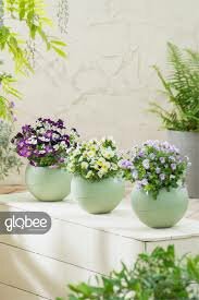 Globee in box Antracite