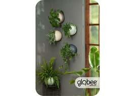 Globee in box Antracite