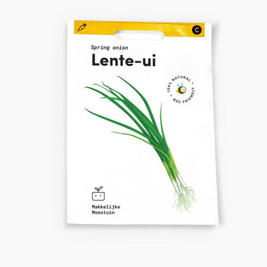 Lente ui