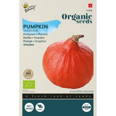 Buzzy® Organic Pompoen Uchiki Kuri (BIO)
