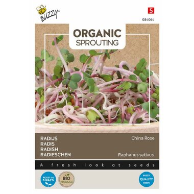 Buzzy® Organic Sprouting Radijs China Rose (BIO)