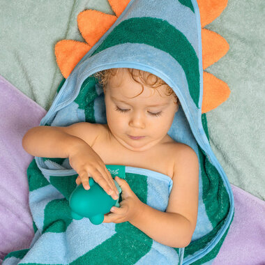 Poncho Dino