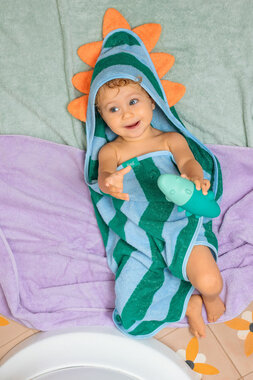 Poncho Dino