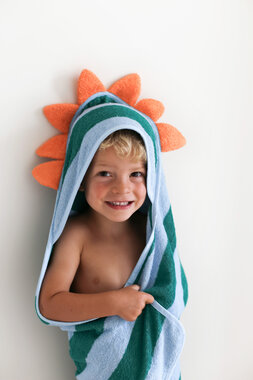 Poncho Dino