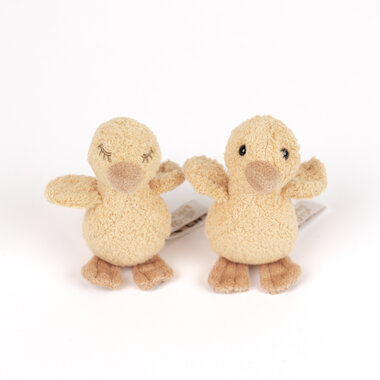 Eendjes Quack