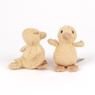 Eendjes Quack