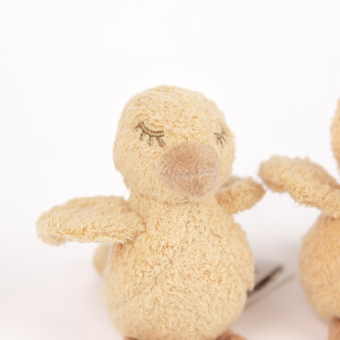 Eendjes Quack