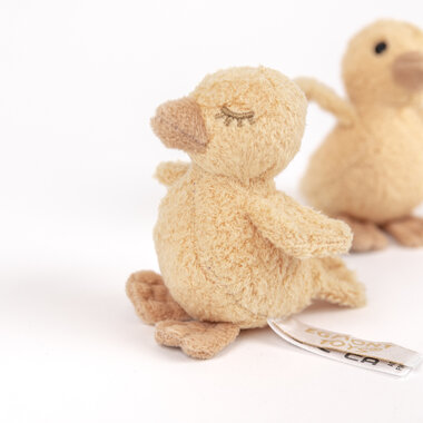 Eendjes Quack
