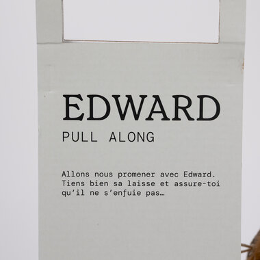 Edward trekhond
