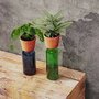 Bottle Planter