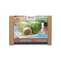 Buzzy® Organic Sprouting Duo pot met schaal BIO (6)