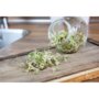 Buzzy® Organic Sprouting pot Salademix BIO