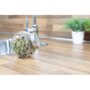Buzzy® Organic Sprouting pot Pikante salade BIO