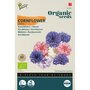Buzzy Organic Korenbloem gemengd BIO